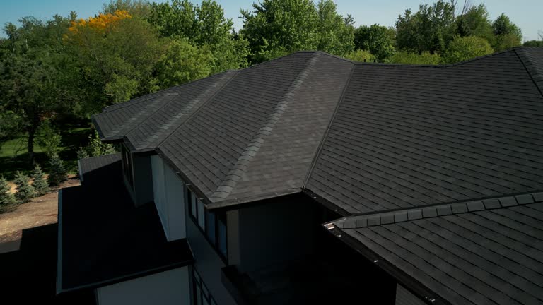 Best Asphalt Shingle Roofing  in Al Creek, CO