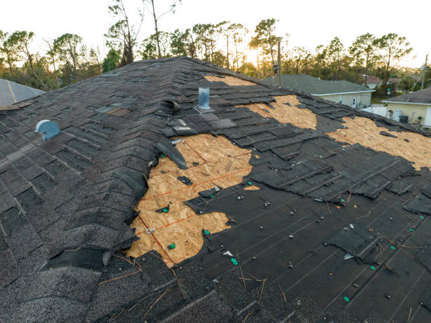 Reliable Coal Creek, CO Roofing service Solutions